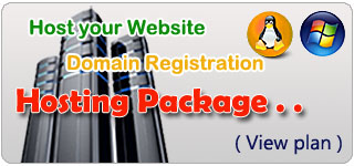 Hosting Package